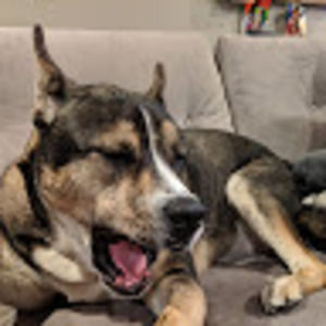 Meet your Posher, Todd